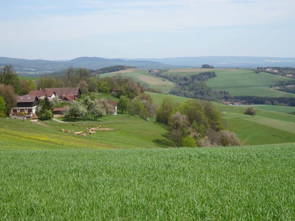 View towards "Kalteneck"