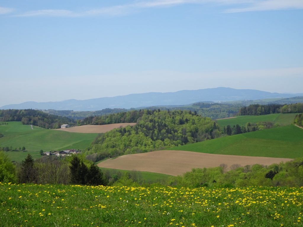 View towards "Kalteneck"