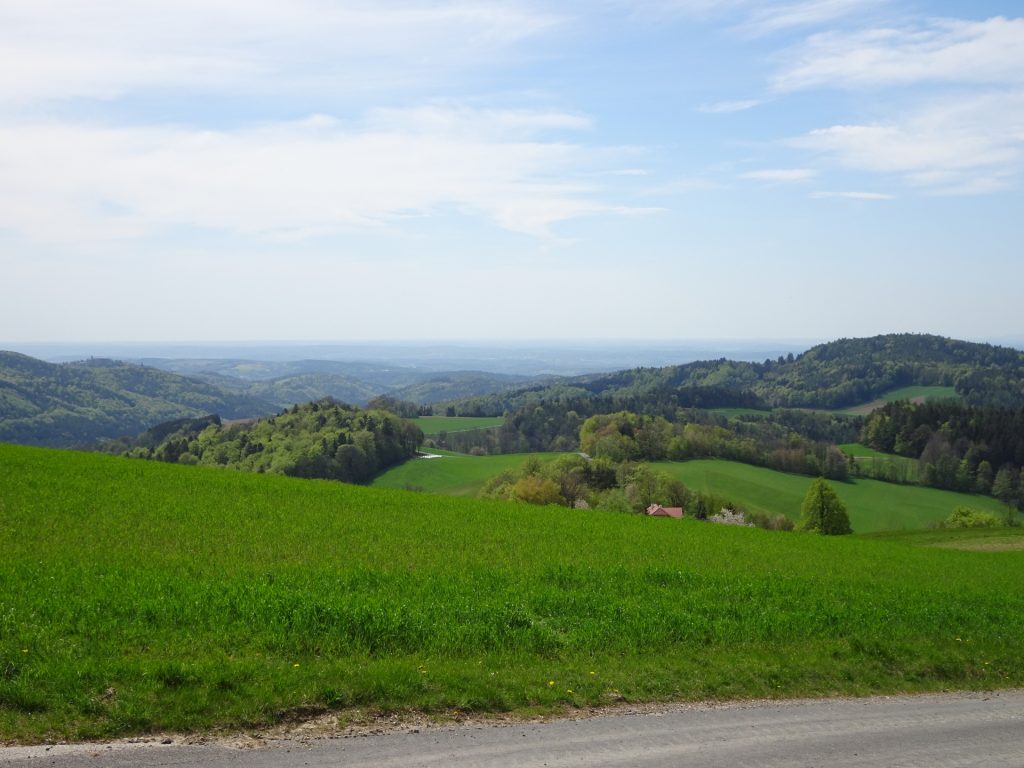 View from the trail