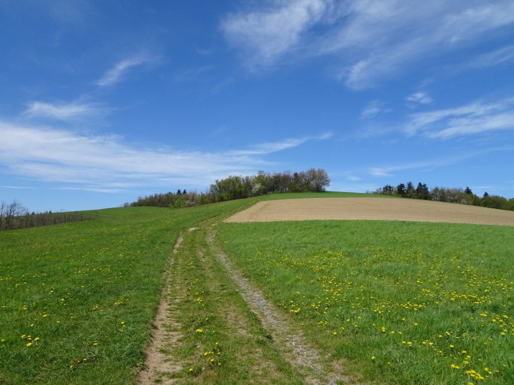 Trail towards "Hutwisch"