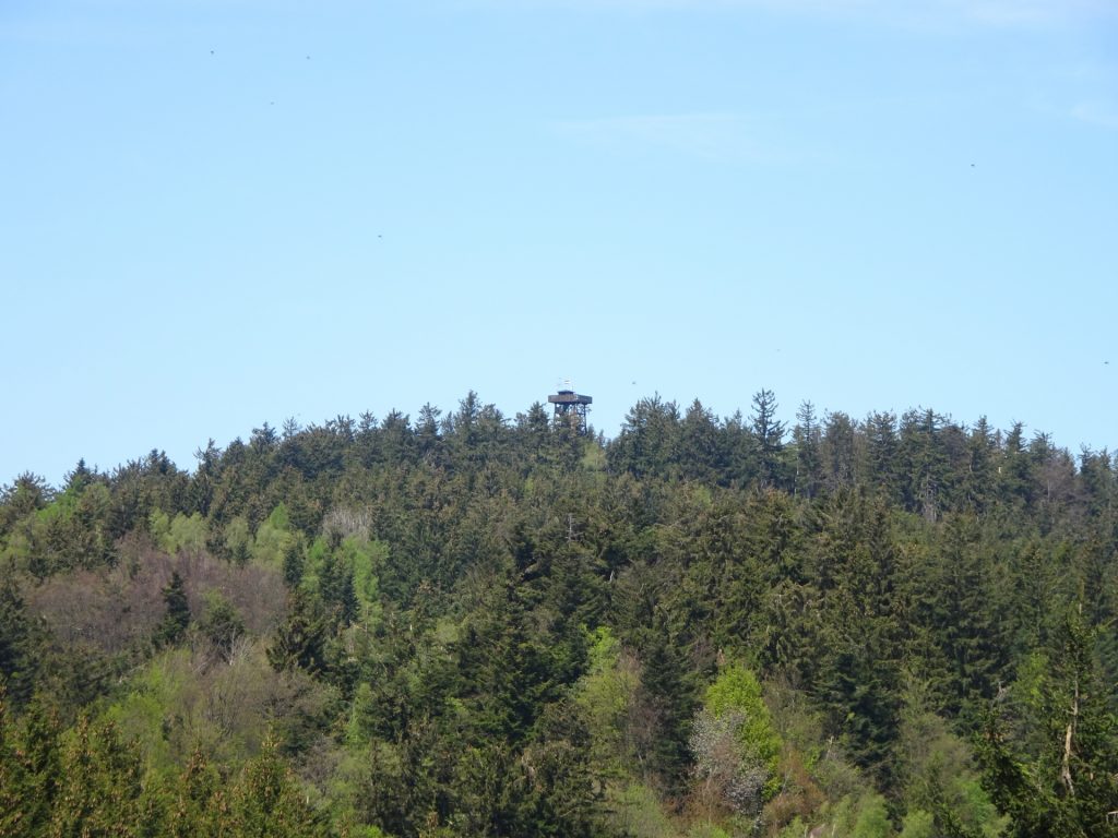 The viewing platform at "Hutwisch"