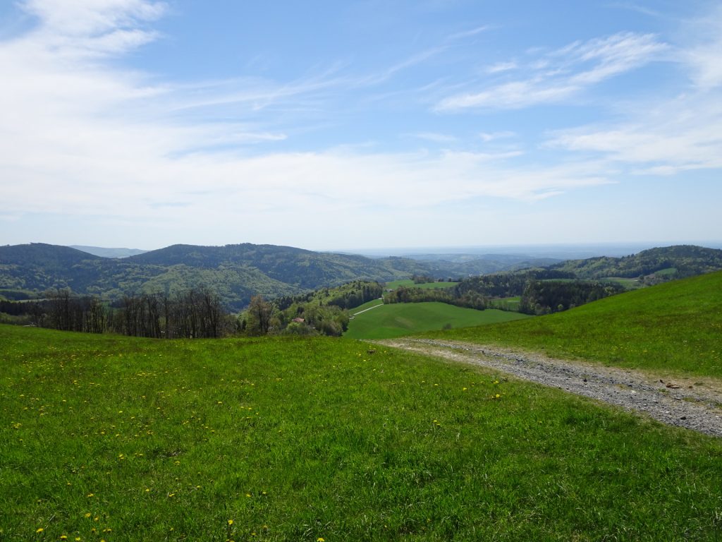 View back from the rest area