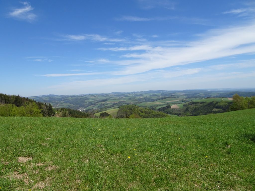 Amazing panoramic view from the trail