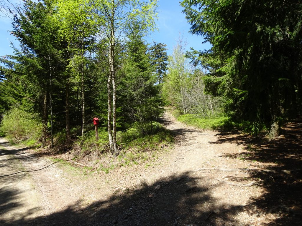 Turn right and follow the trail up to the viewing platform of "Hutwisch"