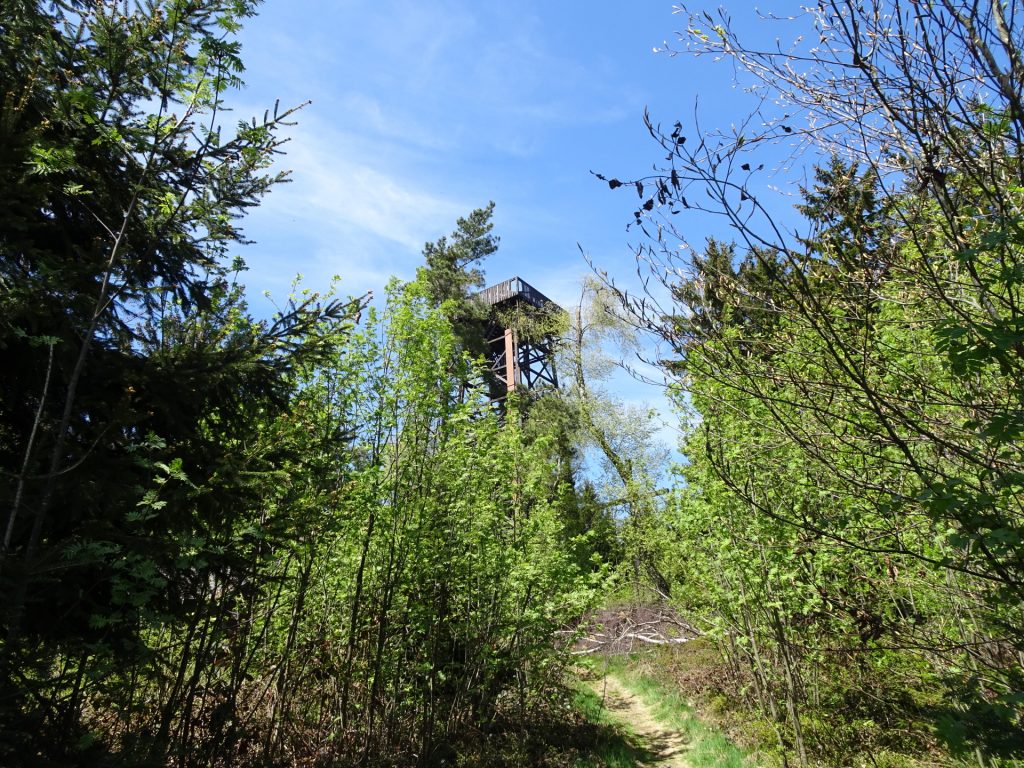 Arriving at the viewing platform of "Hutwisch"