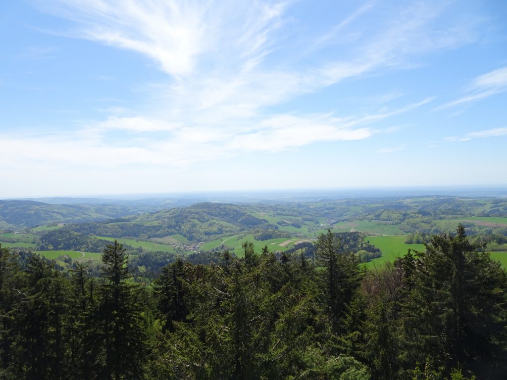 Amazing distance view from the viewing platform of "Hutwisch"