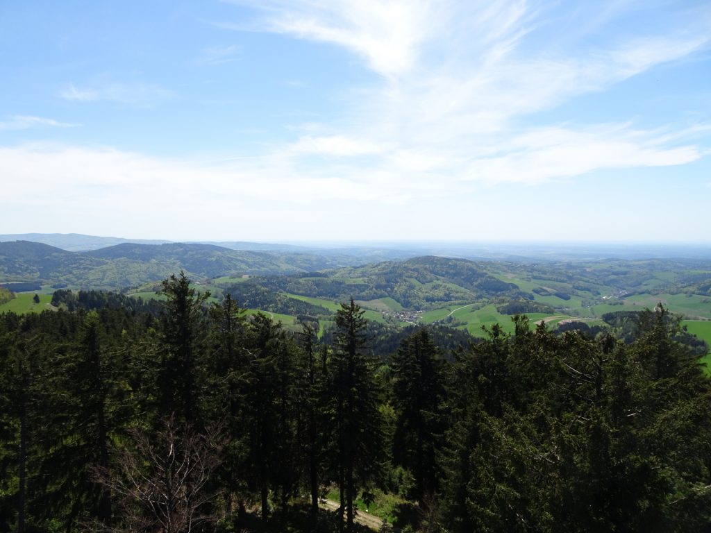 Amazing distance view from the viewing platform of "Hutwisch"