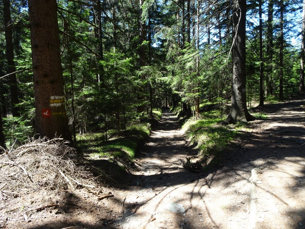 Follow the trail marked with the red Alpannonia sign