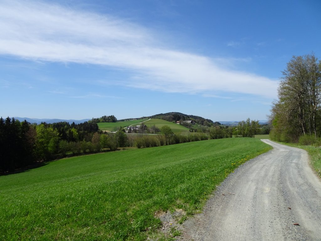 Trail towards "Schlag"