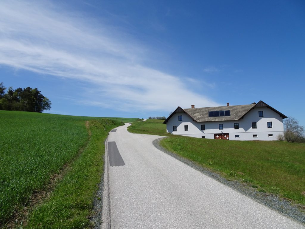 Trail towards "Schlag"