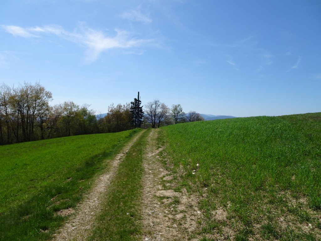 Trail towards "Schlag"