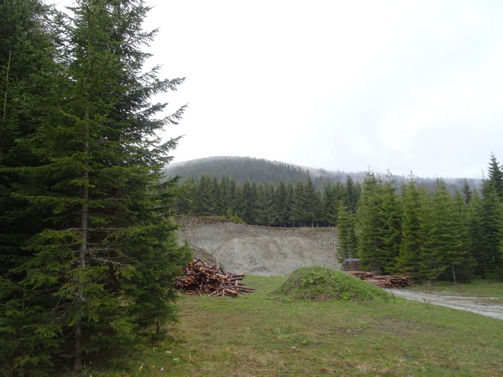 Hiking up towards "Stuhleck"