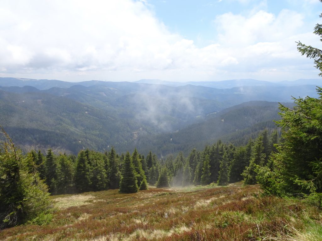 View from the trail