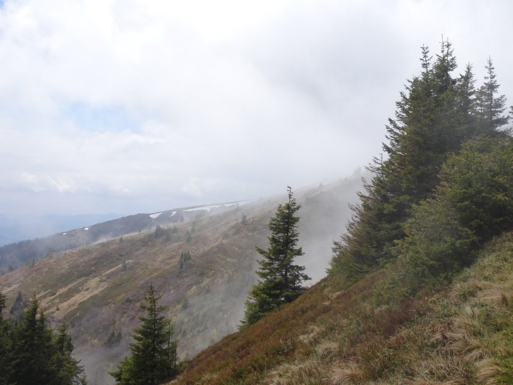 Hiking up "Stuhleck"