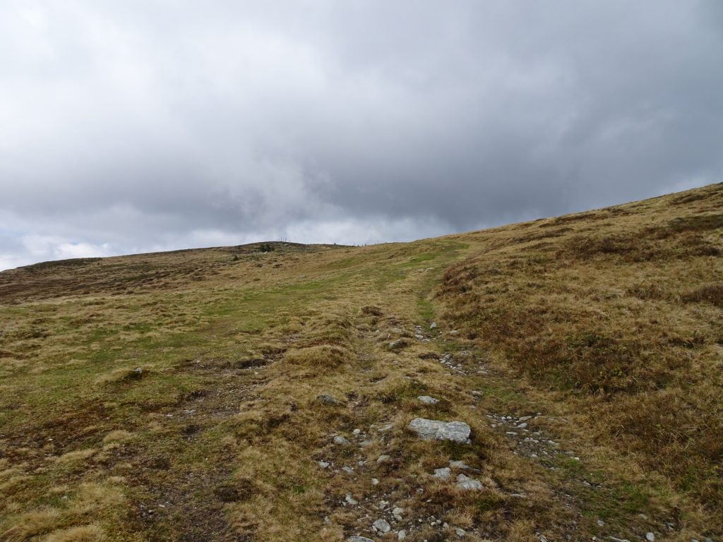 Trail towards "Stuhleck"