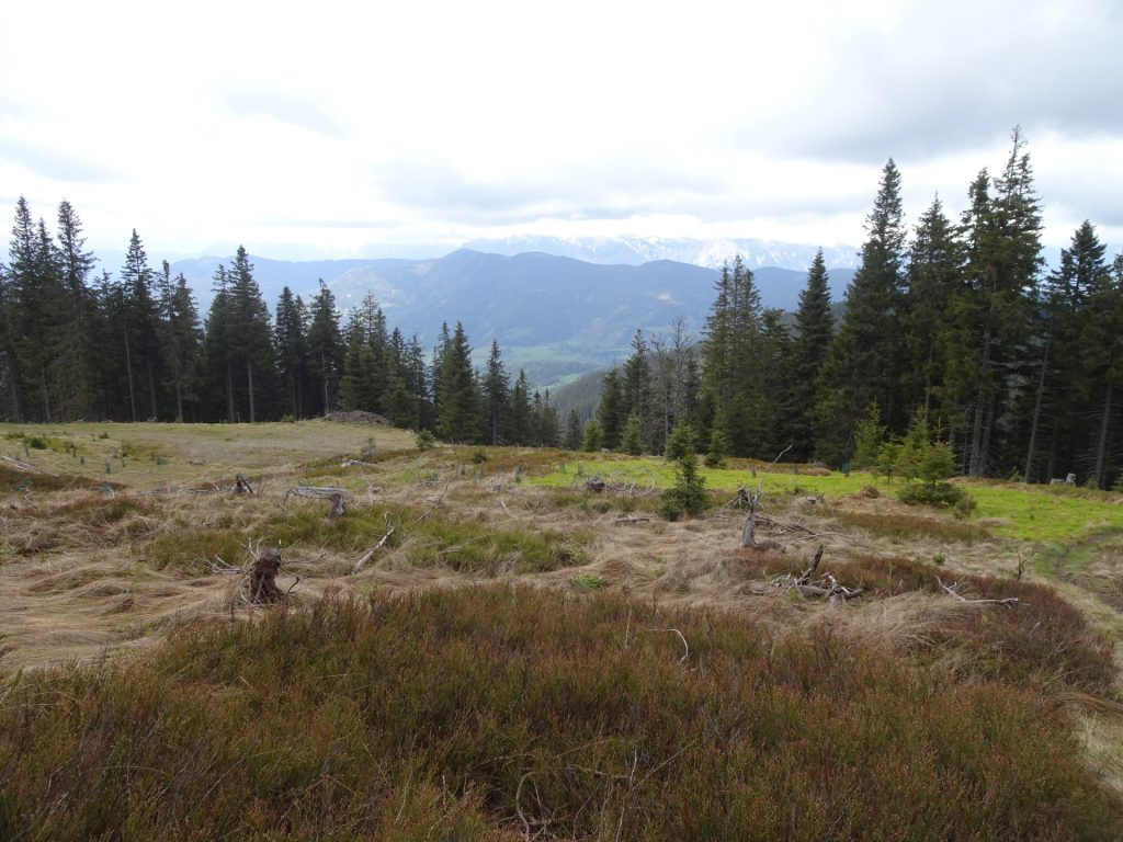 On the trail down towards "Karl-Lechner" hut