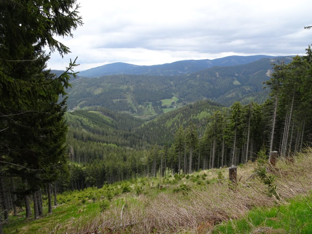 View from the trail back