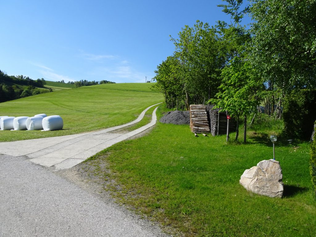 Turn right here and follow the road up (see alpannonia logo)