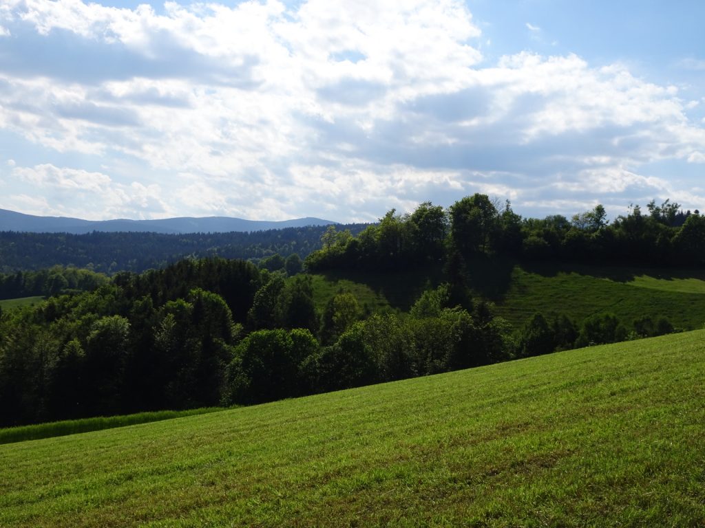 Towards "Mönichkirchen"