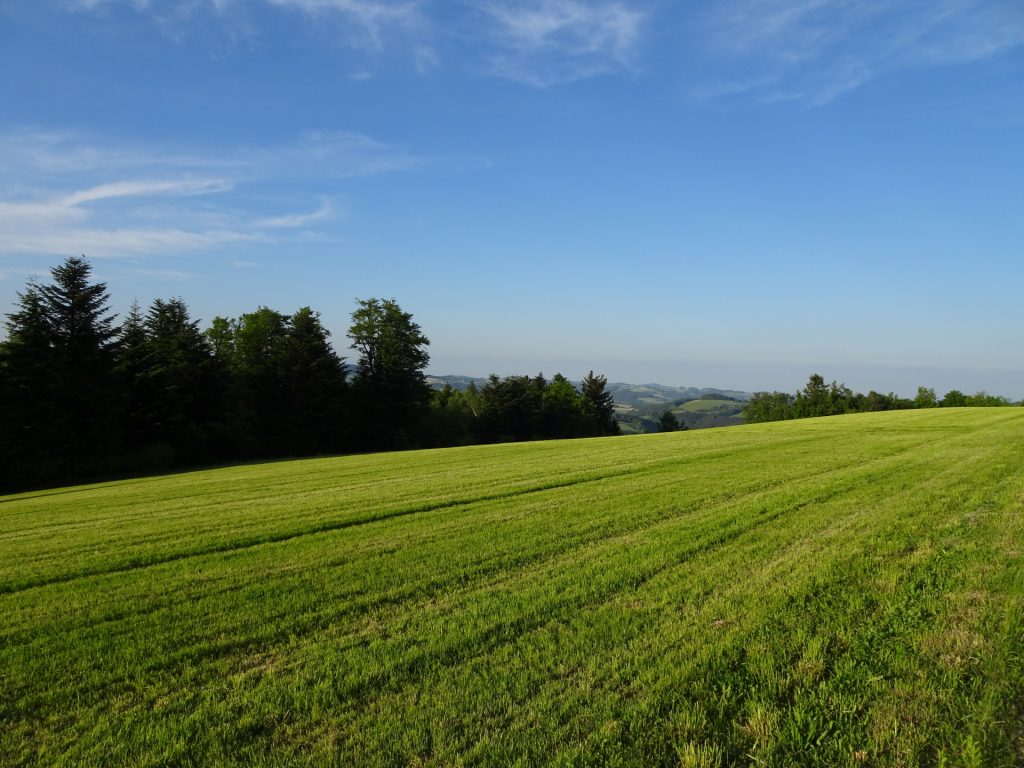 On the trail towards "Mönichkirchen"