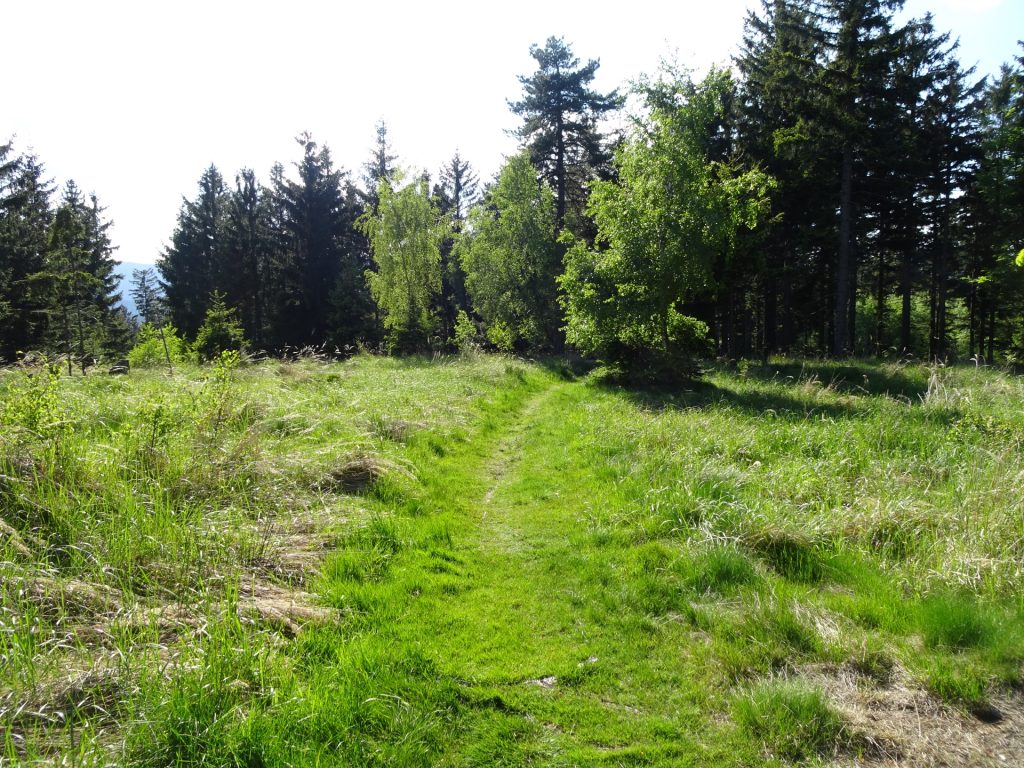 Trail towards "Mönichkirchen"