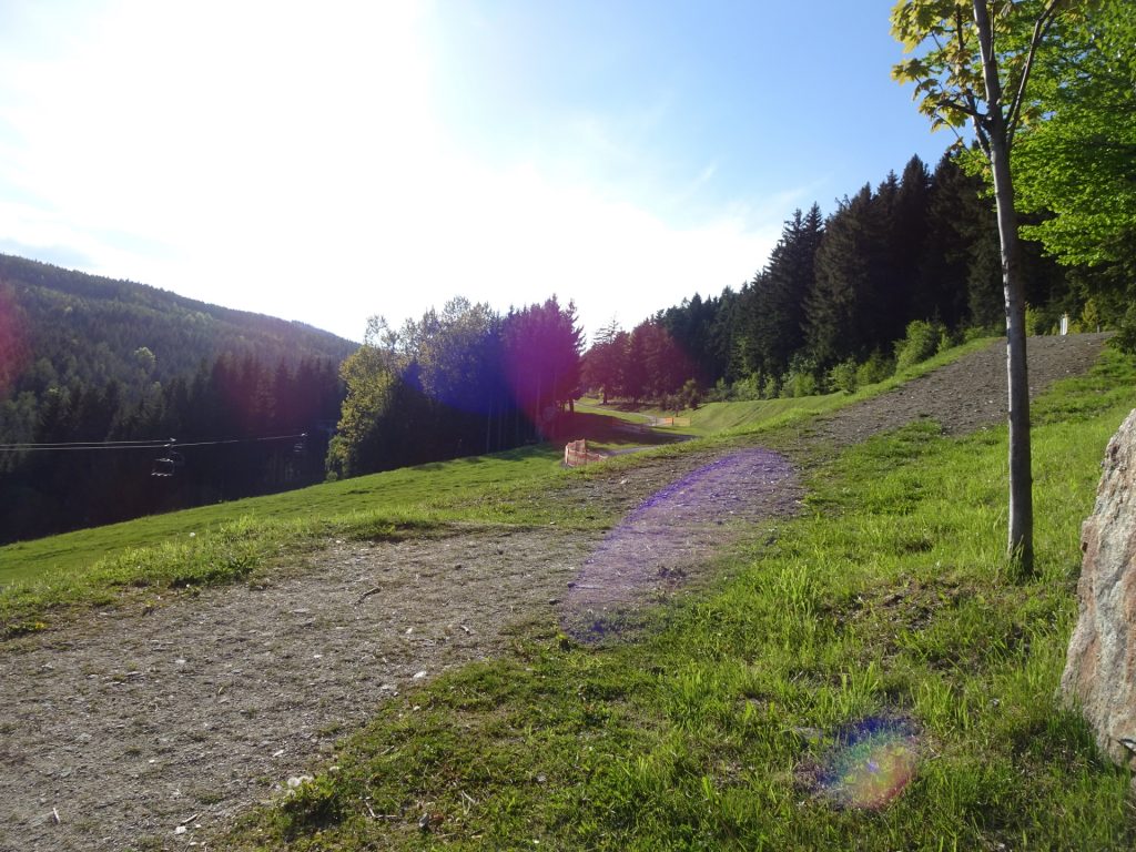 Trail up to "Hochwechsel"