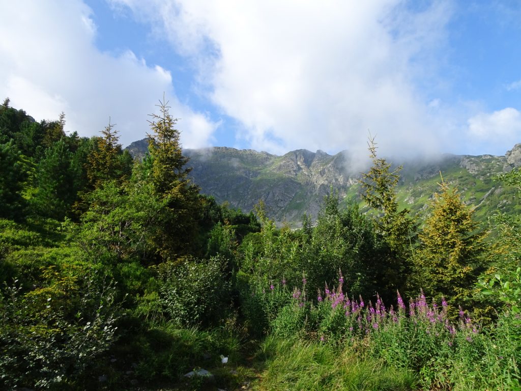 Amazing view from the trail