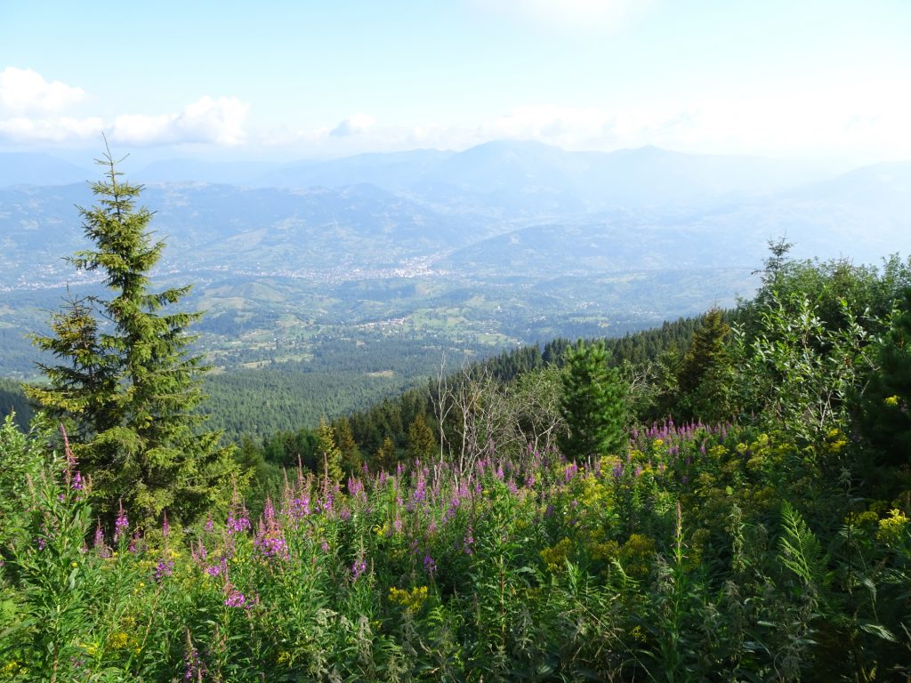 Scenic view towards "Borșa" from the trail