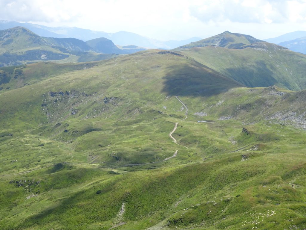 Amazing mountain pasture seen from "Vârful Buhăesc Mic"