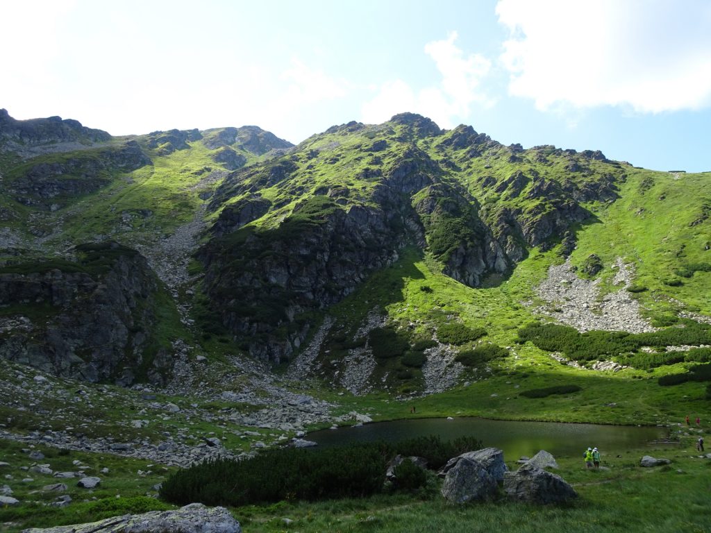 View up again from the lake