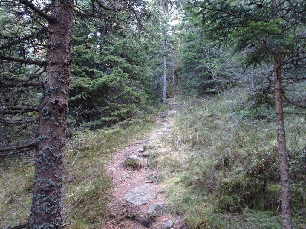 On the trail towards "Rosseck"