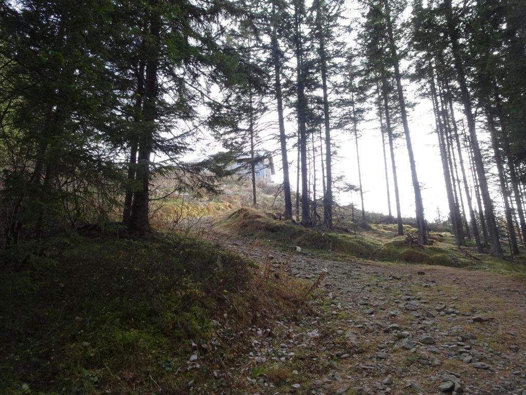 View back on the trail downwards from "Mugelschutzhaus"