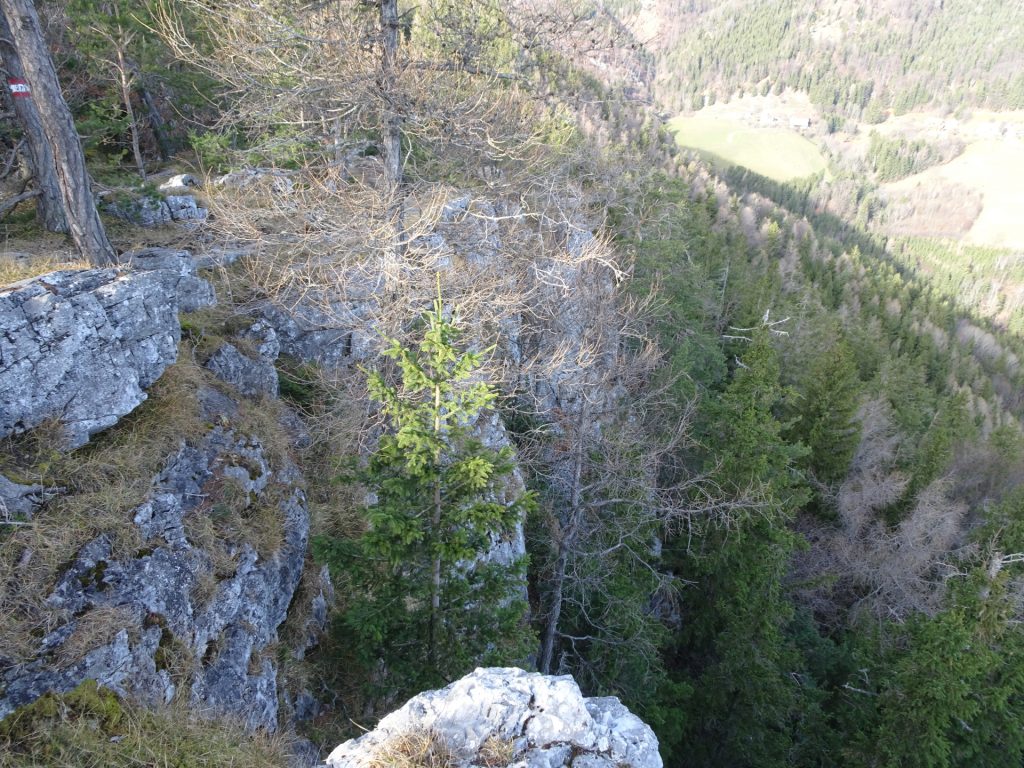 The hiking trail along the ridge of "Fürwallnerhöhe"