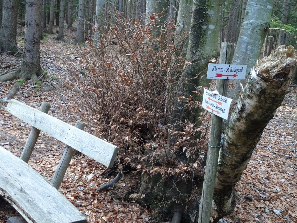 Follow the trail towards "Erhardshöhe - Schöckl"