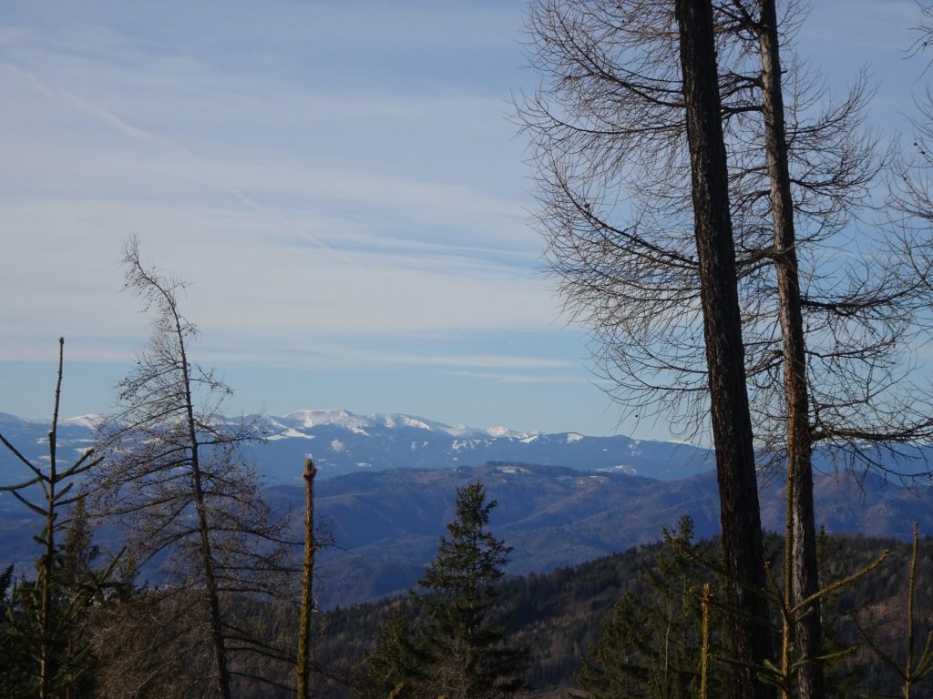 Amazing distance view from the trail