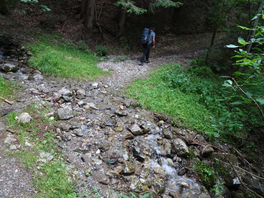 On the trail towards <i>Seeberg</i>